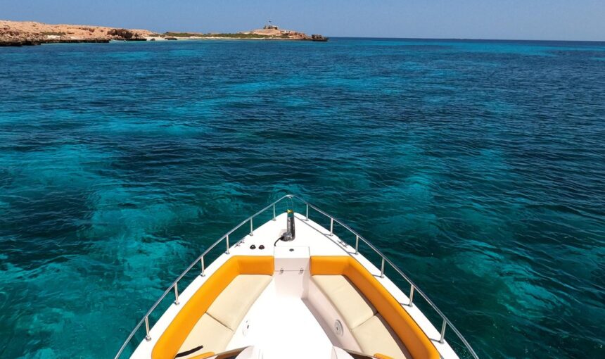 Whale Shark Season at the Daymaniyat Islands: The Complete Month-by-Month Guide (2026)
