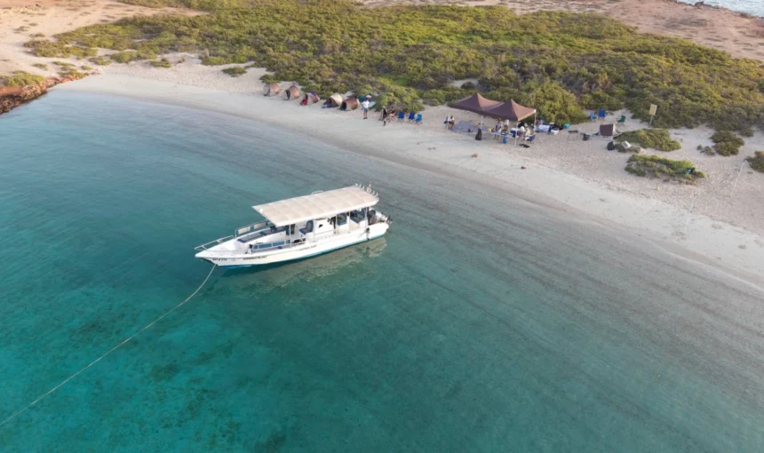 How to Book Daymaniyat Islands Tour in Oman