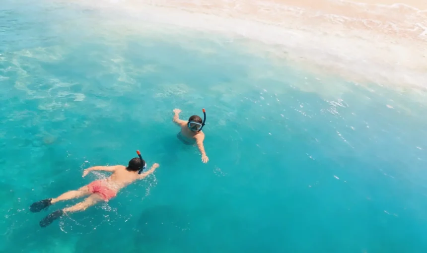 Best Snorkeling Spots in Oman: Ranked by a Local Guide