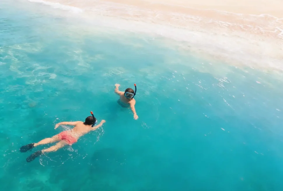 Snorkeling In Oman
