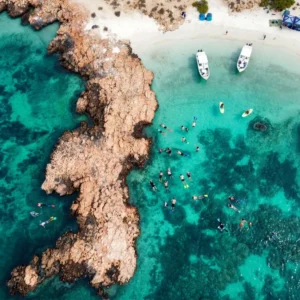 people snorkeling at daymaniyat water