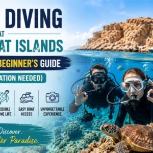 Scuba Diving at Daymaniyat Islands - Beginner's Guide