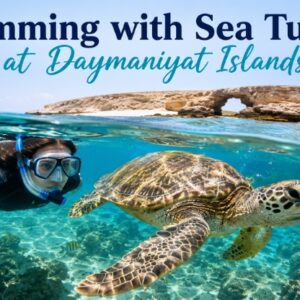 Swimming with Sea Turtles at Daymaniyat Islands