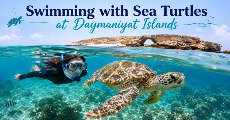 Swimming with Sea Turtles at Daymaniyat Islands