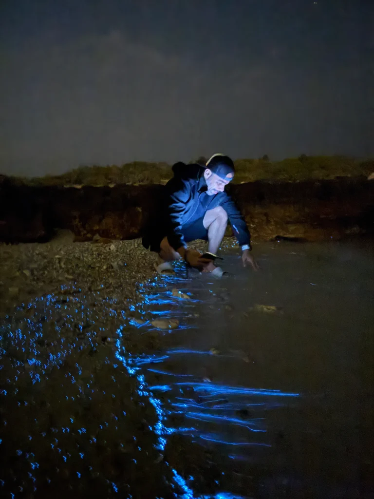 Guest crouching at the water's edge at night as bioluminescence glows blue along the shore of a Daymaniyat island