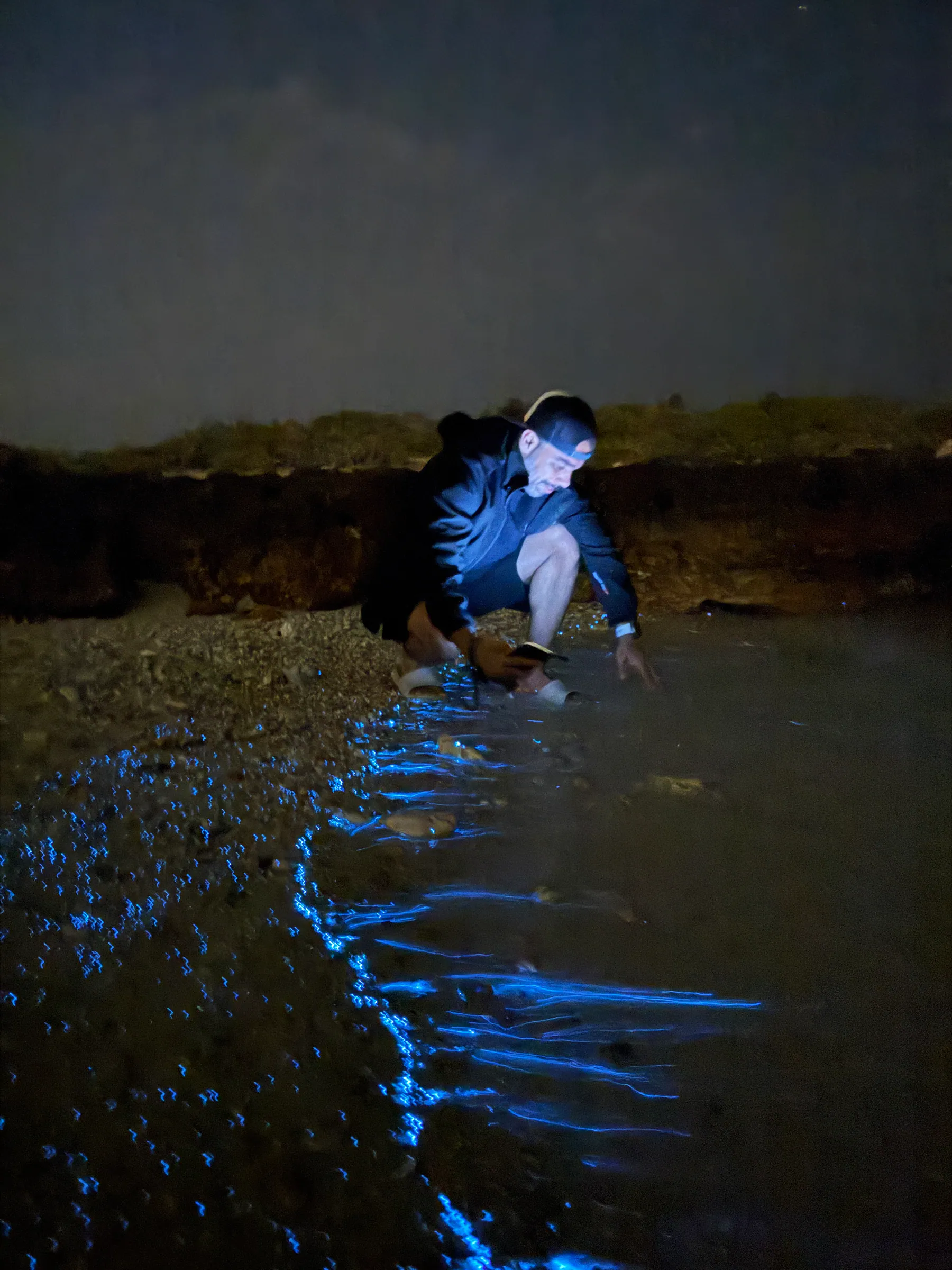 Guest crouching at the water's edge at night as bioluminescence glows blue along the shore of a Daymaniyat island
