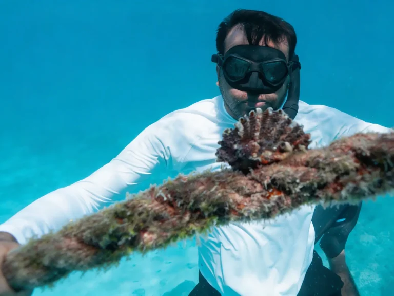 Diver wearing a mask holding a seashell on a rope underwater at the Daymaniyat Islands
