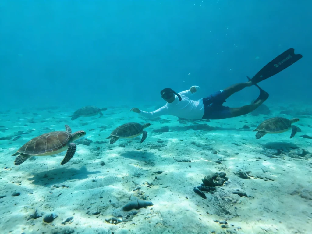 Diver swimming near several sea turtles over a sandy seabed in clear water