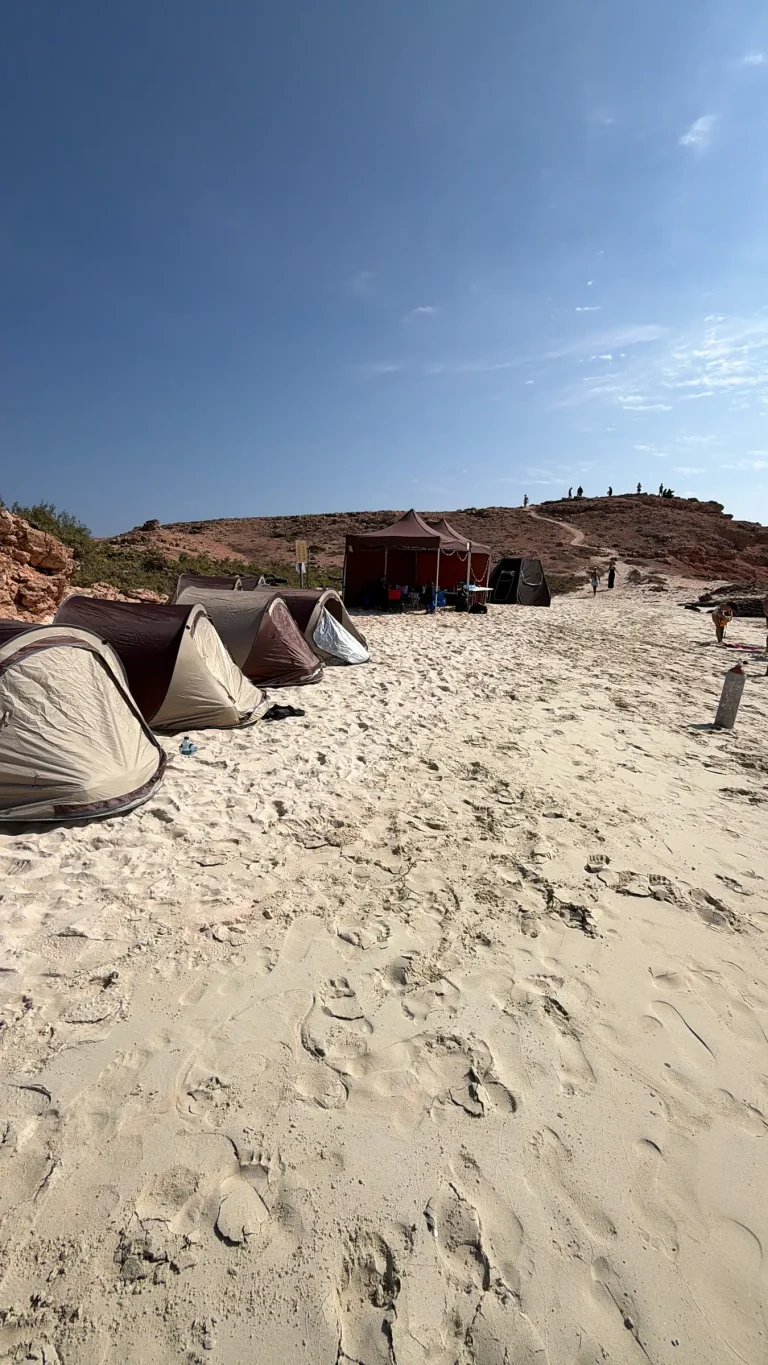 A row of camping tents and a shade shelter along the beach at the island camp, Daymaniyat Islands