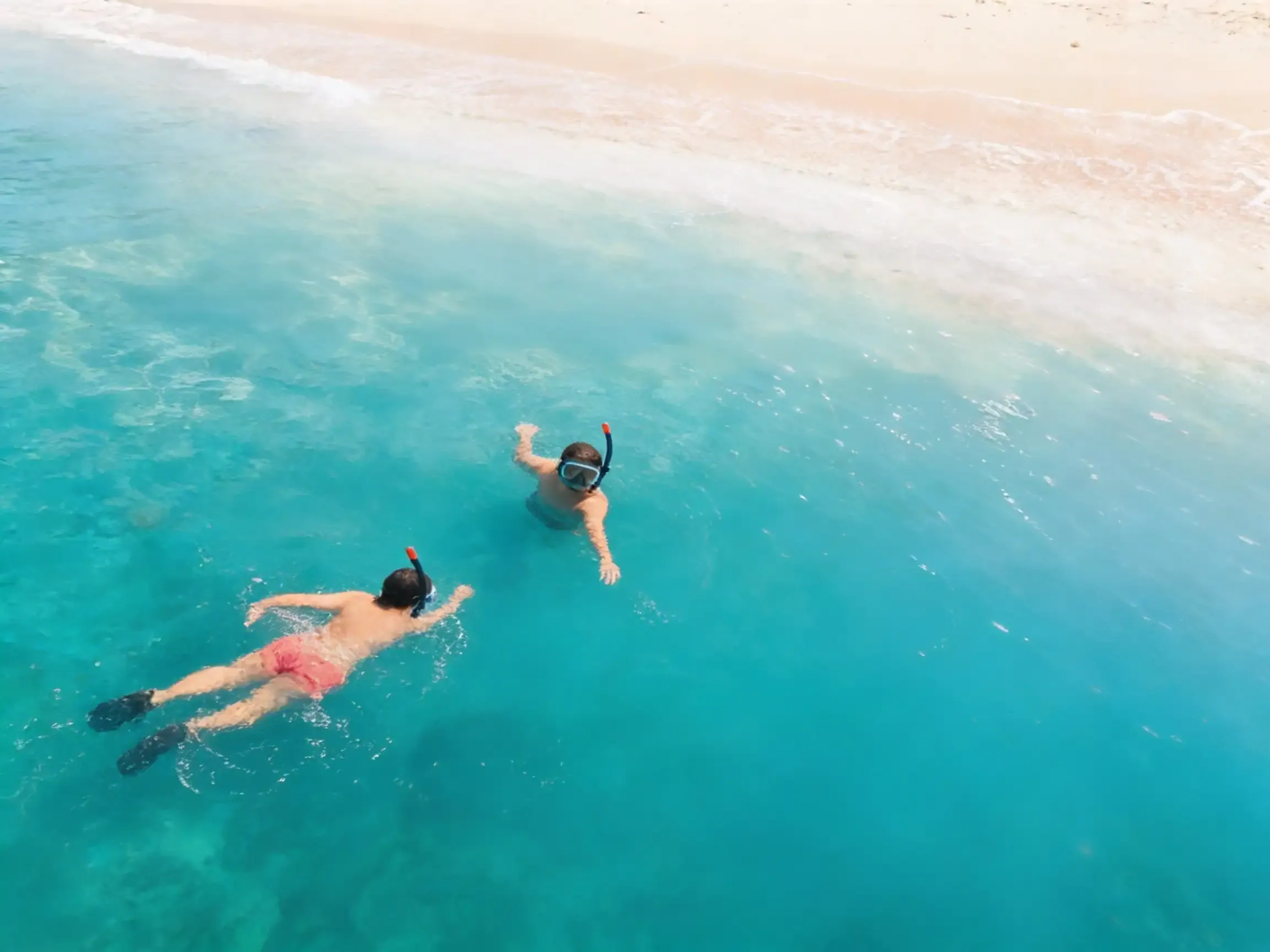 Two snorkelers swimming in shallow turquoise water off a white sand beach, Daymaniyat Islands