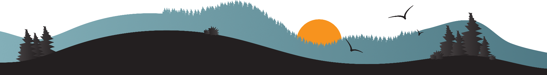 al-daymaniyat islands nature reserve